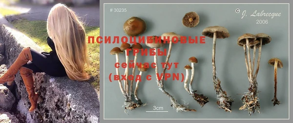 хмурый Нефтекумск
